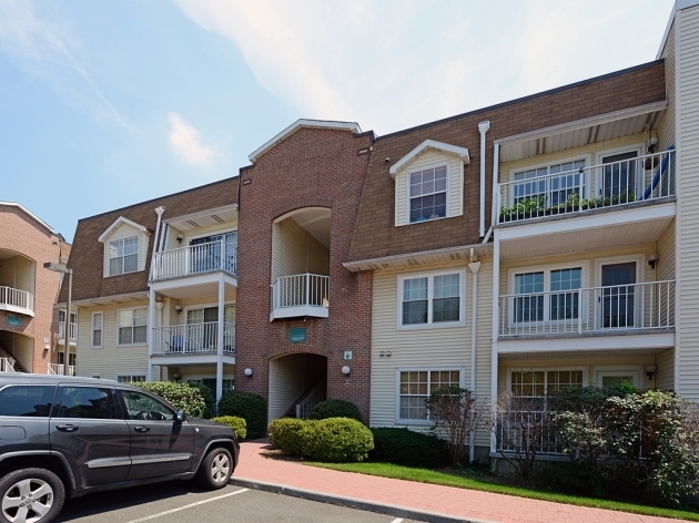 Alluring Rented North Arlington 1 Bedroom 1 Bath Jacuzzi Fire Pit Fire Pit North Arlington