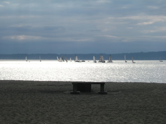 Gorgeous Seattle Golden Garden Park Mapio Golden Gardens Park Fire Pit