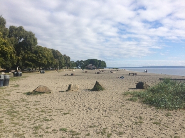 Picture of Response To The Questions About Golden Garden Fire Pits Seattle Golden Gardens Fire Pits