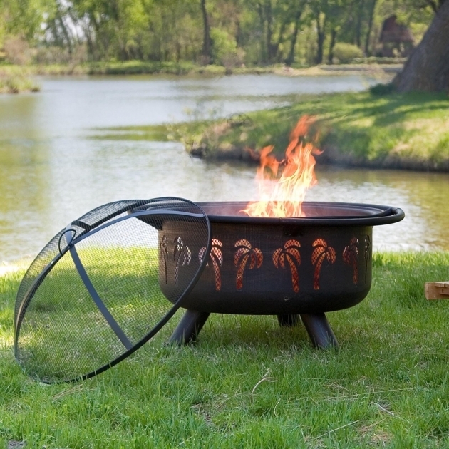 Delightful Outdoor Fire Pit Good Outdoor Grass Fire Pits Afrozep Firepit On Grass