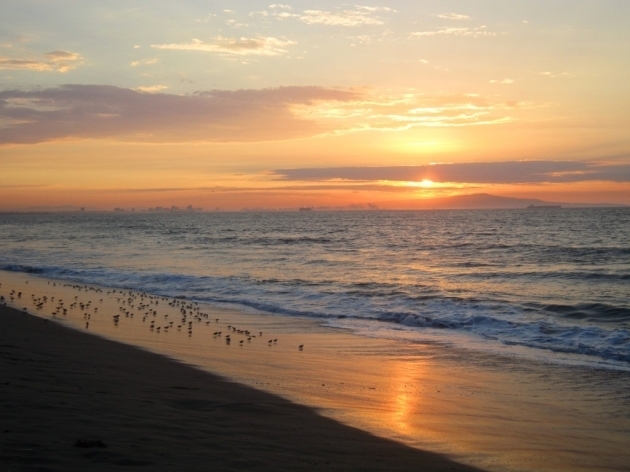 Stylish Bolsa Chica State Beach Bolsa Chica Fire Pits